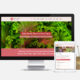 Nutritionist Website Design