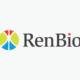Biotech Branding, Logo Design and Stationery Design: RenBio